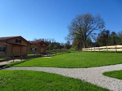 Bild 7 aus  Ferienhof Neher