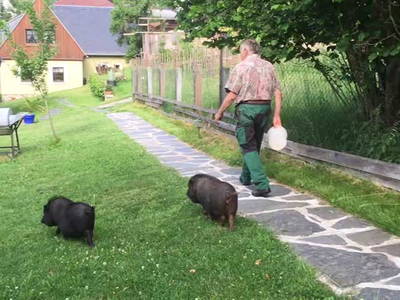 Bild 18 aus  Ferienhof Wilfert