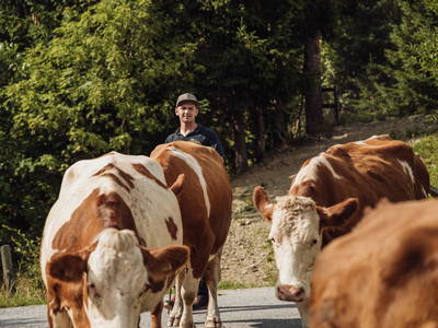 Bild 9 aus  Martenhof