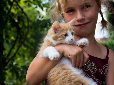 Bild 9 aus  Beim Schmied