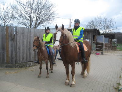 Bild 20 aus  Freizeit- und Ferienreiterhof Odenwald