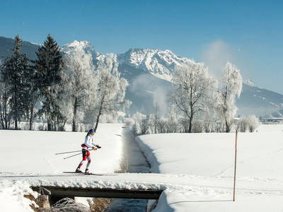 Bild 33 aus  Hornergut