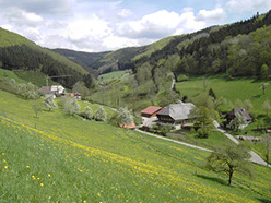 Bild 6 aus  Vorderhof