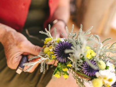 Bild 5 aus  Ferienhof Schwehr