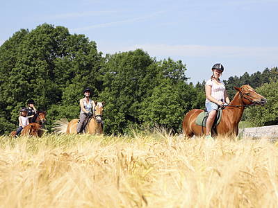 Bild 7 aus  Ferienhof Jehle