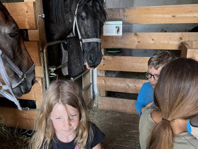 Bild 26 aus  Landkulturhof Glücksbringer