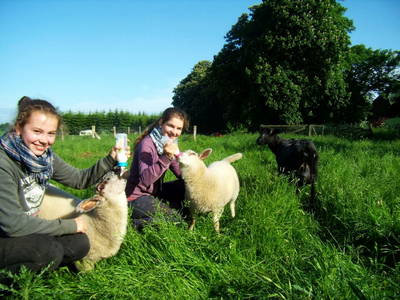 Bild 10 aus  Gut Hohenhain