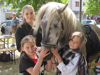Bild 45 aus  Bernsteinreiter Hirschburg