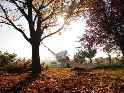 Bild 18 aus  Rumlerhof