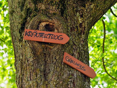 Bild 29 aus  Ferienhof Gögelein