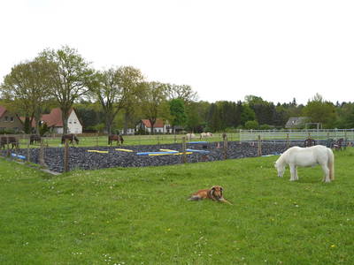 Bild 16 aus  Dennhornshof