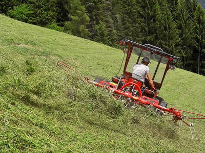 Bild 32 aus  Appartement Birkenhof - Urlaub mit Pferden und Alpakas