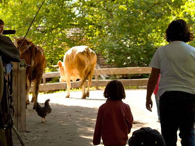 Bild 15 aus  Gästehaus und Biohof Sonnenstatter