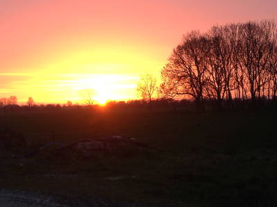 Bild 22 aus  Hof Meyenburg