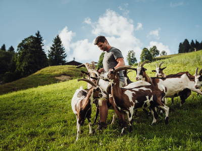 Bild 8 aus  Martenhof