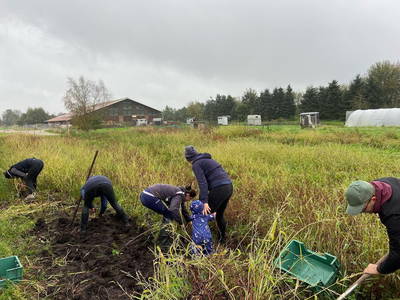 Spaß im Team bei der Ernte