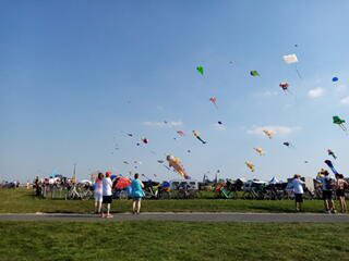 Bild 22 aus  Hof Vorwerk Familie Böye