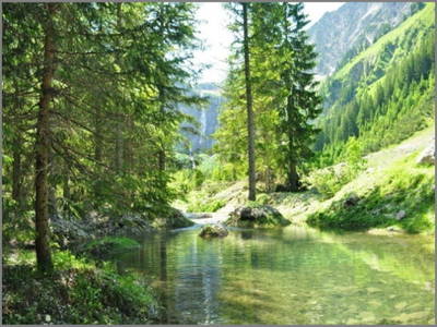 Bild 15 aus  Wendlarhof