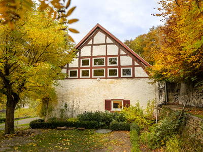 Bild 43 aus  Gut Neuwerk