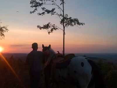 Bild 13 aus  Erlebnishof am Kordigast