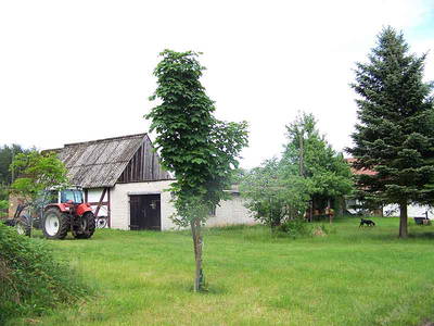 Bild 6 aus  Pferde- und Freizeithof Koplin