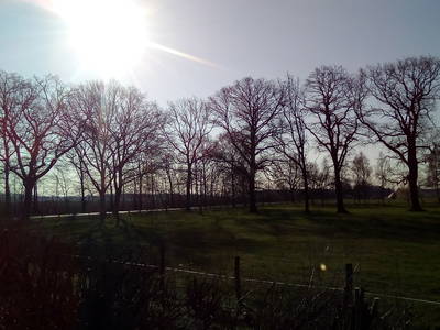 Bild 5 aus  Bauernhof Laave