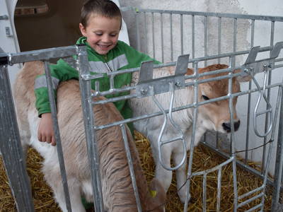 Bild 23 aus  Marschalkhof    Urlaub auf dem Bauernhof