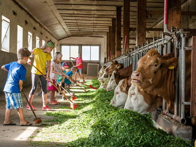 Bild 10 aus  Esterer Hof  ***** - Deutschlands Beliebtester Ferienhof 2022