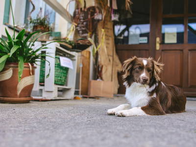 Bild 6 aus  Ferienhof Schwehr