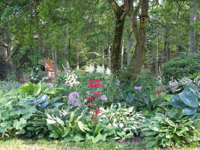 Bild 10 aus  Dreweshof Meßhausen - Familien und Gruppen - Urlaub in der Lüneburger Heide