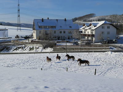 Bild 31 aus  Schellen Hof