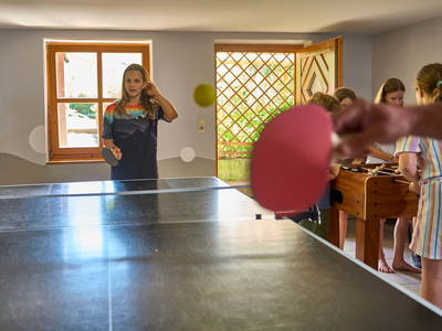 Bild 43 aus  Urlaub am Schoffahanslof im Bayerischen Wald: Natur, Abenteuer & Erholung für die ganze Familie“