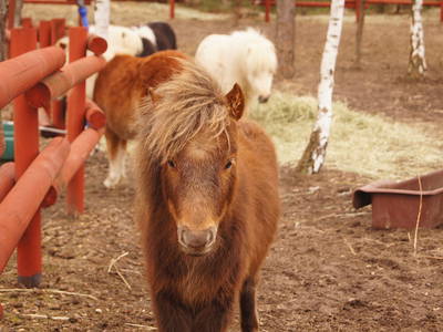 Bild 18 aus  Arendel - Das norwegische Dorf