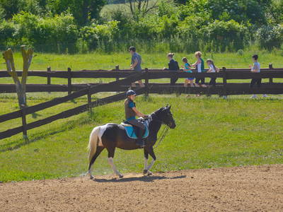 Bild 38 aus  Bauer Korl's Golchener Hof