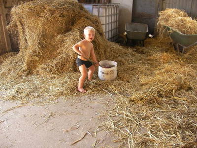 Bild 29 aus  Ferienhof Pulte