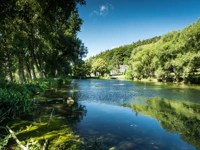 Bild 27 aus  Gut Neuwerk