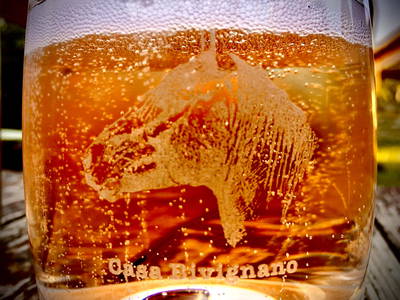 Bild 74 aus  Agriturismo Casa Bivignano