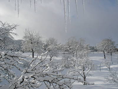 Winterzauber in Nordhessen