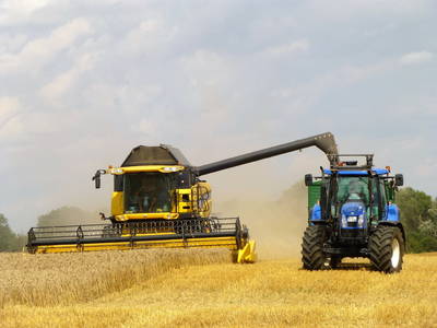 Bild 6 aus  Müritz-Hof Knust