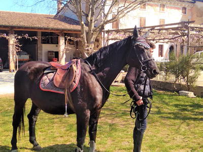 Bild 24 aus  Bauerhofurlaub zwischen den Touristenattraktionen Gardasee, Verona und Mantua