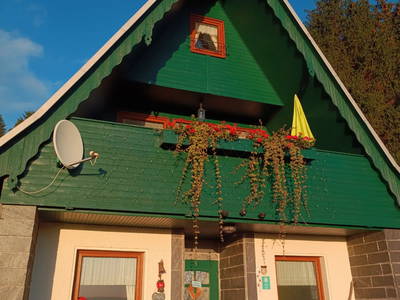 Waldgrüne Finnhütte