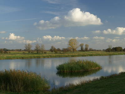Bild 31 aus  Erlenhof im Oderbruch - Rund ums Schaf