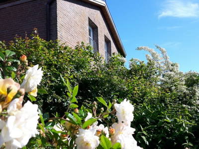 Bild 25 aus  Ferienhof Nielson