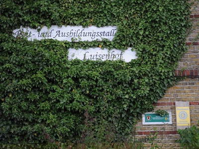 Bild 10 aus  Luisenhof Paretz