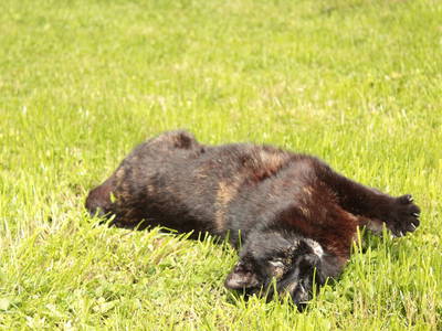 Bild 13 aus  "Schneiderhof"