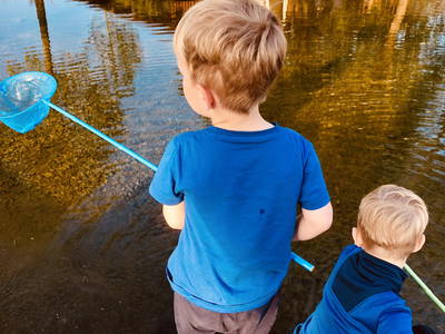 Bild 6 aus  Schelterhof