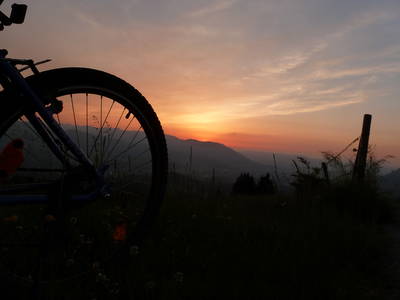 Bild 12 aus  Ferienhof Dauser