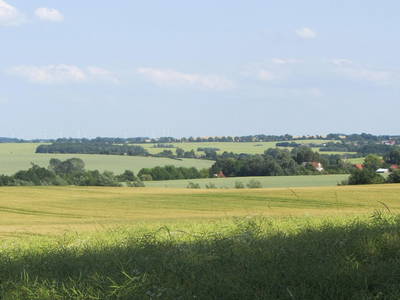 Bild 3 aus  Reethaus Aarne