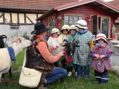 Bild 17 aus  Ferienhof Neudeck