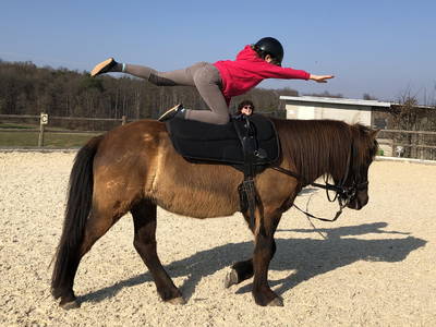 Bild 43 aus  Freizeit- und Ferienreiterhof Odenwald